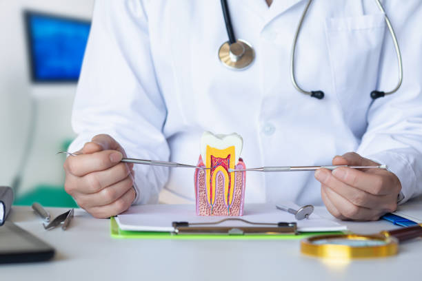 Best Same-Day Emergency Dental Services in Jefferson, MD